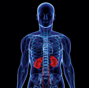Chronic kidney disease (CKD) can be associated with a wide range of ...