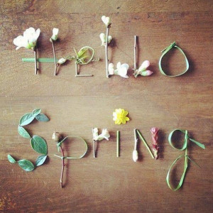 Spring begins with the vernal equinox at 7:02 A.M. (EDT) on March 20 ...