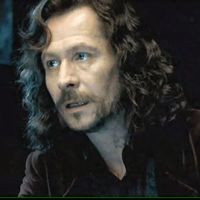 Sirius Black @ Harry Potter And The Order Of The Phoenix “What ...