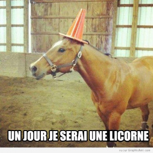 cheval-cone-licorne.jpg