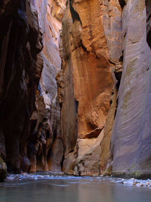 Special things to see or to visit in Zion National Park