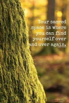 sacred spots sacr space wood open spaces peace inspirational quotes ...