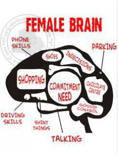 Female Brain