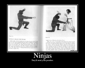 Just for Fun: Some Ninja Humor