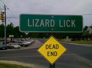 Lizard lick Image