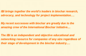 the biochar revolution book