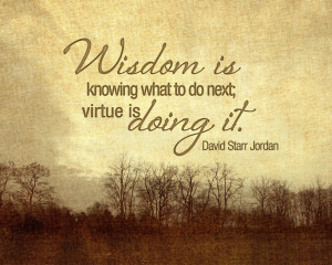 Wisdom Is Knowing What To Do Next Virtue Is Doing It - Personal ...