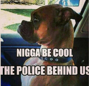 boy, car, dog, funny, girl, nigga, police