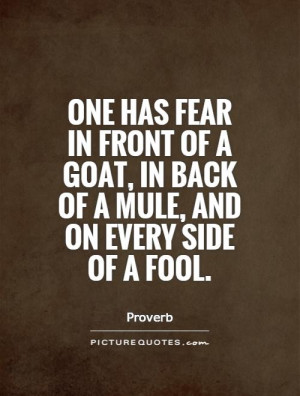 ... goat, in back of a mule, and on every side of a fool Picture Quote #1