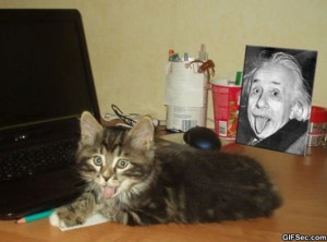 Funny-Pictures-Catbert-Einstein.jpg
