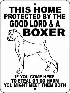 Boxers...the best dogs ever!!!