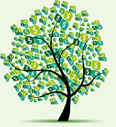 An illustration of a Money Tree with Mozo logos as leaves
