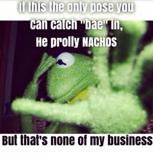 Photos / Kermit the Frog inspires funny Instagram memes