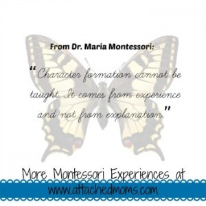 montessori6-300x300.jpg