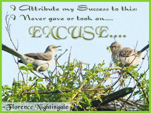 Excuse Picture Quotes And Sayings