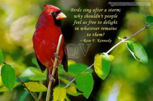 Birds Sing After A Storm - Adversity Quote