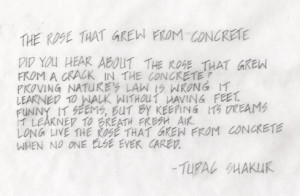 tupac poems rose that grew from concrete