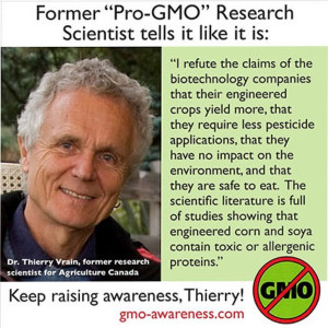 Health Risks of Genetically Modified Organisms (GMOs)