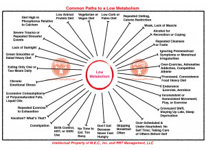 Common Paths to a Low Metabolism