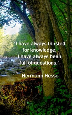 ... Quotes Knowledge, Knowledge Quotes, Siddhartha Quotes, Herman Hesse