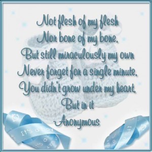 Miraculously My Own Adoption Journey Poems And Quotes Picture