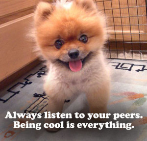 Cute Puppy Quotes
