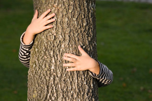 Happy Earth Day. Go Hug a Tree.