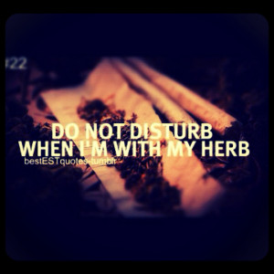 Do Not Disturb When I’m With My Herb
