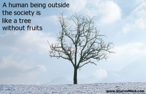 ... like a tree without fruits - Positive and Good Quotes - StatusMind.com