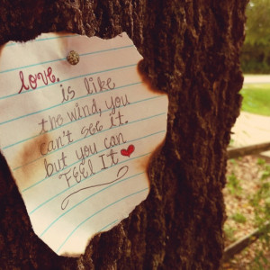 Nicholas Sparks...A Walk to Remember the sweetest and saddest love ...