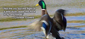 Not the cry, but the flight of a wild duck, leads the flock to fly and ...