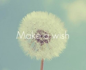 30. I want to hold fundraisers for the Make a Wish foundation for the ...