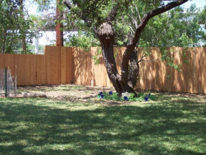 wood fence wood fence wood fence wood fence wood fence wood fence wood