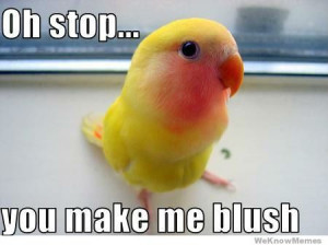 oh-stop-you-make-me-blush