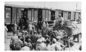 Jewish prisoners were treated like cattle; packed tightly into cattle ...