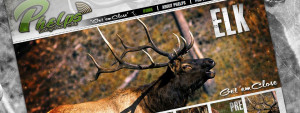 Funny Deer Hunting Graphics