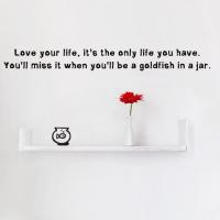 Goldfish Quotes