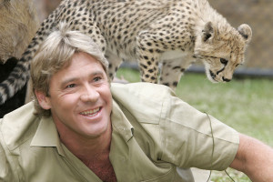 death animals steve irwin crocodile hunter Tribute irwin Australia zoo ...