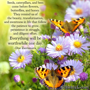 Seeds, caterpillars, and bees come before flowers, butterflies, and ...