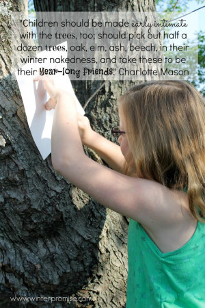 Trees: Year Long Friends ~ Love Charlotte Mason quotes. :)