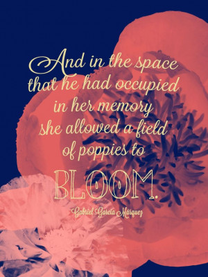 from One Hundred Years of Solitude.