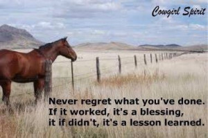... Quotes, Amazing Hors, Love Hors, Favorite Quotes, Hors Riding, Horses