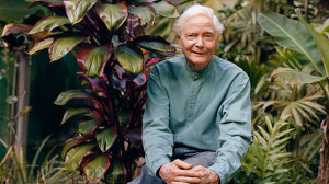Photos of Merwin Poet Laureate