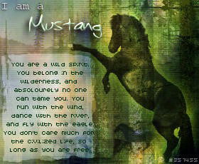 mustang the wild breed of horse that roamed america in the