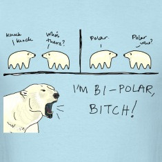Bipolar bear funny t shirt