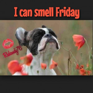 love it i smell friday