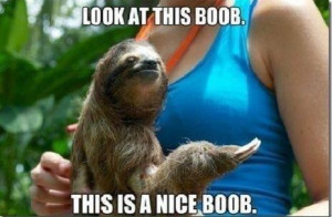 Show me your best Dirty Sloth Meme's