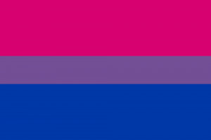 what are the bi flag colors?