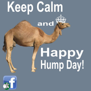 Keep Calm and Happy Hump Day!