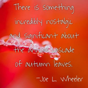 Fall, autumn, quotes, sayings, image, joe l wheeler